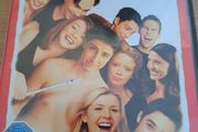 American Pie movie DVDs.