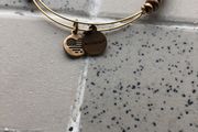jewelry Alex and ani