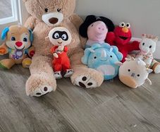 teddies