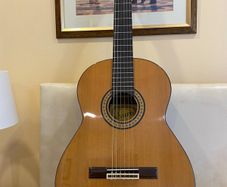 Alvaro Guitar 300