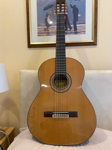 Alvaro Guitar 300