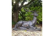 Laying Stag D699