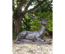 Laying Stag D699
