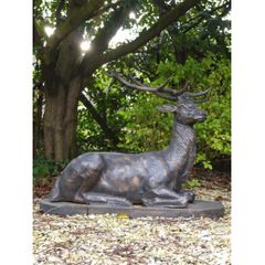 Laying Stag D699