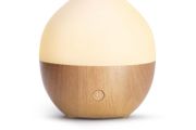 Essential Oil Diffuser, 100ml Small Aromatherapy Ultrasonic Cool Mist Humidifier with Warm White Lights, Auto Shut-Off Function, for Office Home