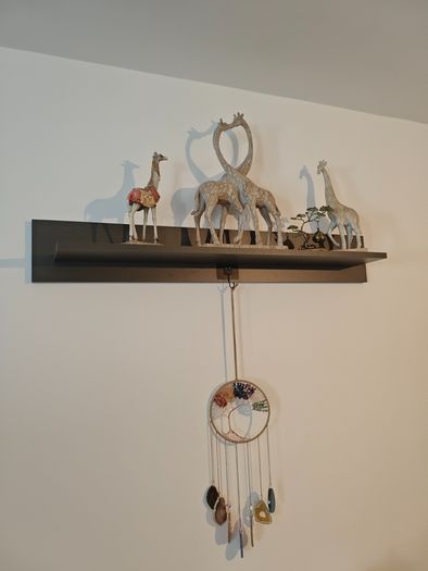 TV Cabinet.Showcases