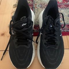 Asics GT 2000