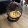 pet hanging chair Image 2