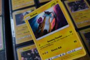 Raikou ! Holo Rare ! from Shining Legends Set ! 2017 ! Pokemon Card !