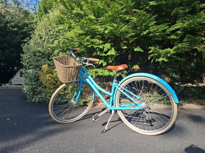 Bicycle/Bike