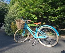 Bicycle/Bike