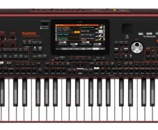 Korg pa1000