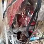 Baby Travel System Image 9