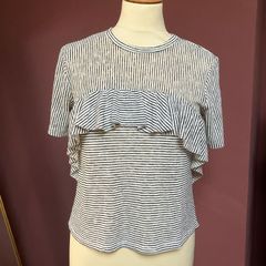 Zara Medium Stripe Knit Tee