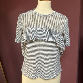 Zara Medium Stripe Knit Tee
