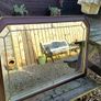 Vintage Leaded Mirror Image 2