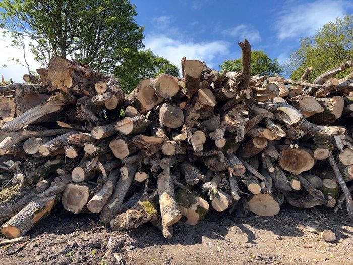 Timber