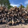 Timber Image 3