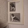 Training Spaniels  .Joe Irving Image 7