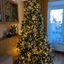 Christmas tree Image 5