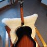 Epiphone EL-00 Pro Image 2