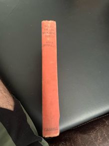 Song of the Mockingbird by Anne Duffield