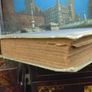 The Sungazers ! by H.H. Knibbs ! EXTREMELY RARE ! Hardnack ! Image 9