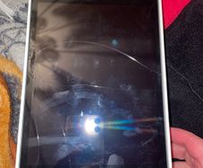 Apple ipad mini 1st generation 2012