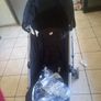 buggy Image 9