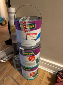 Paint