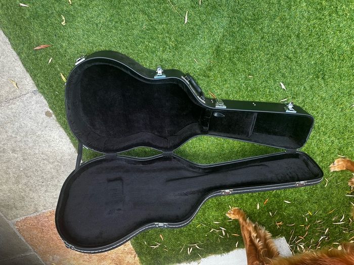 Thomann Guitar box