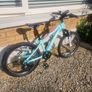 Team FT920 girls bike Image 2