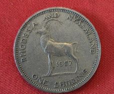1 Shilling coin from the Federation of Rhodesia and Nyasaland 1957