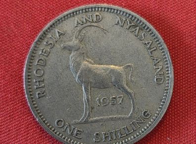 1 Shilling coin from the Federation of Rhodesia and Nyasaland 1957