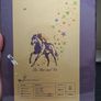 Sea The Stars The Horse of a Lifetime DVD Box Set Image 2