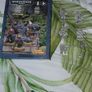 Warhammer Eldar (NOT aeldari blergh!) Image 3
