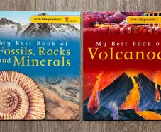 Irish Independent My Best Book of Volcanoes & Fossils (Set of 2)
