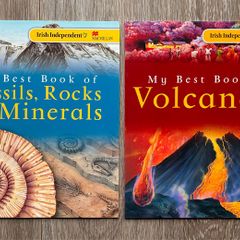 Irish Independent My Best Book of Volcanoes & Fossils (Set of 2)