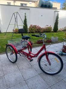 Tricycle Bike
