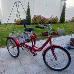 Tricycle Bike