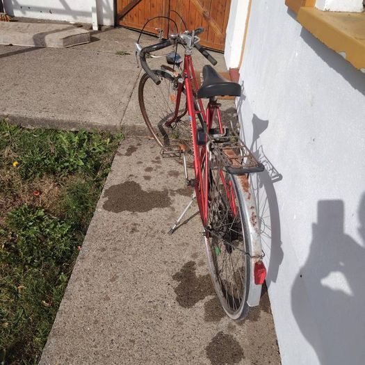 Ladies Vintage Racing bike