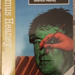 Icon Critical Guides: The Poetry Of Seamus Heaney, Ed. Elmer Andrews