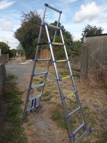 telescopic step ladder