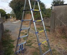 telescopic step ladder