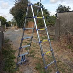 telescopic step ladder