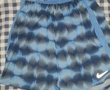 Nike swim shorts
