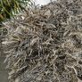 Rug/carpet (used) Image 3
