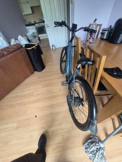 pedal assist