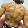wwe Daniel Bryan action figure Image 7