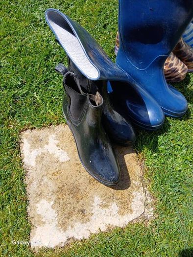 Wellington boots